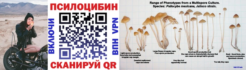 хочу наркоту OMG как зайти Псилоцибиновые грибы MAGIC MUSHROOMS Выкса