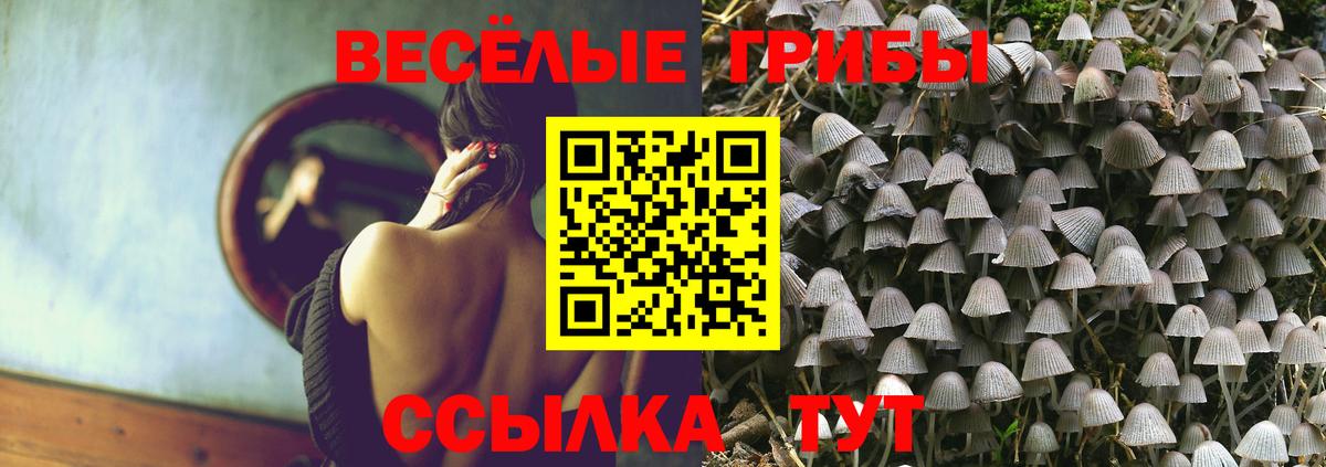 Псилоцибиновые грибы MAGIC MUSHROOMS Выкса