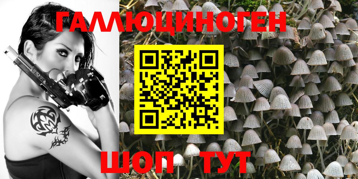 Псилоцибиновые грибы GOLDEN TEACHER  Вход с VPN  Выкса 